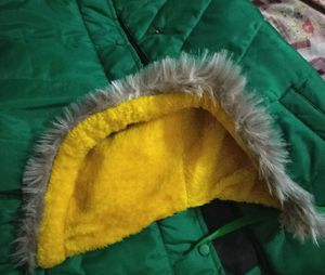half Green Jacket For Women