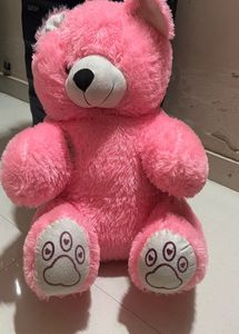Pink Teddy For Kids