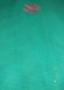 Women Saree