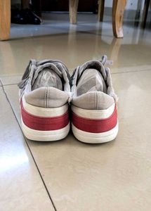 US polo Gray Sneakers with Red Accent