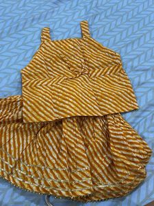 Cute Ethnic Skirt Top Set