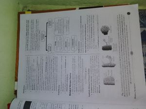 Pw Biology