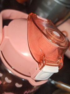 Cute Pink Sipper