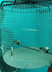 Parrot  Birds Rabbit Cat Etc Cage Pijara Cag