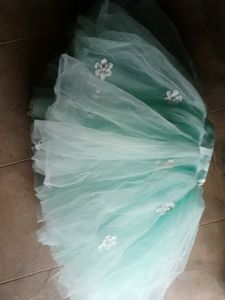 Mint Tulle Skirt with Floral Appliques