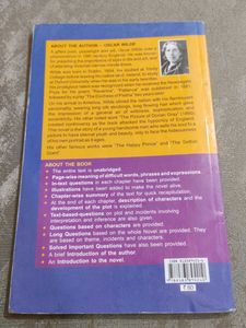 The Canterville Ghost