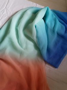 Brand NewAlia Bhatt Viral Cassata Saree