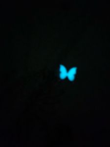 Glow In The Dark Butterfly Pendant
