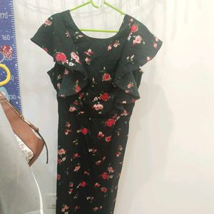 Rare Dress With Designer Back