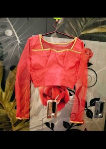 Unused New Blouse