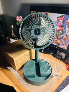 Portable Folding Fan