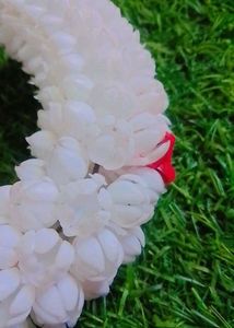 White Kajra With Red Flowers