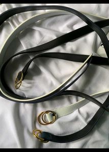 Black And Blue Two Woman Fashionable Belt