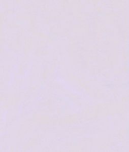 Victoria’s Secret Pink 36D Bra