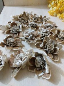 Set of 5 Sola Wood Flowers