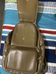 Office Wear Bag