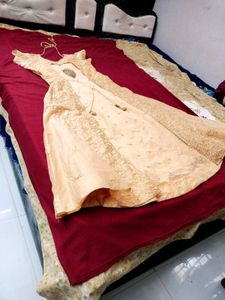 Elegant Ethnic Gown
