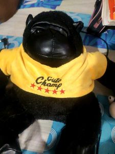 Cutie Chimpanzee