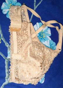 Lingerie Net Lace Bra (40/100)(Non-padded)