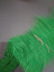 Organza Lehanga Set Blouse And Lehang