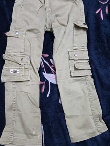 Cargo Pants