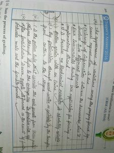 Xamidea Science Class 10 - 2024-25 Edition