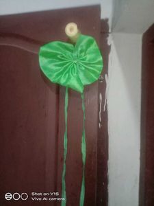 Green Neck Bow 💚