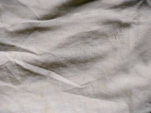 Formal Cotton Beige Pant