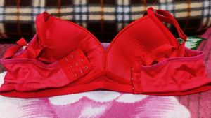 Imported padded Bra
