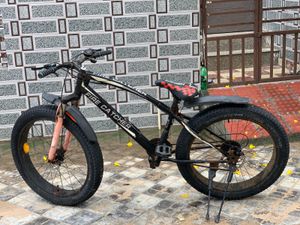 Fire Catcher Fat Tire Bicycle