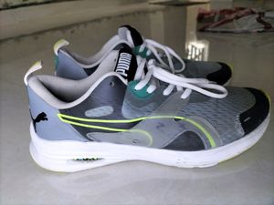 Puma Shoes 👟