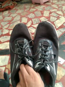 campus sports shoes