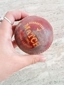 Leather Ball Cricket Bal