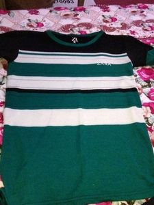 ZARA MEN T_SHIRT
