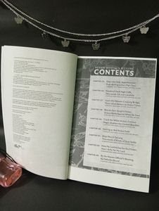 Heaven officials Blessing Volume 8