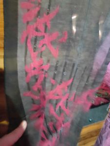 Trendy Elegant Attractive Women Stole