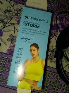 Zebronics Black Wired Headphones
