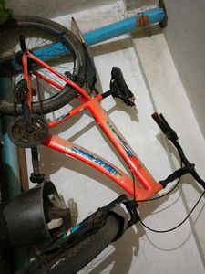 Cycle Bor Boys