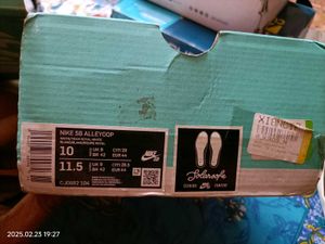 Nike SB Allyoop Sneakers For Men