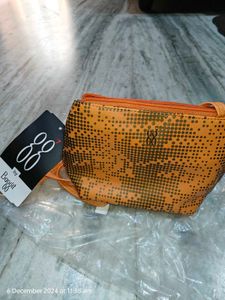 New Baggit Sling Bag