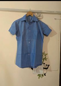 Blue Short Sleeve Shirt