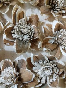 Set of 5 Sola Wood Flowers