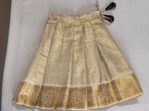 Kerala traditional Skirt blouse set