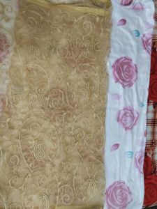 Elegant Embroidered Dupatta