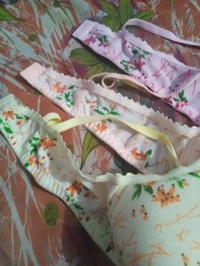 Pack Of 3 Padded Bra