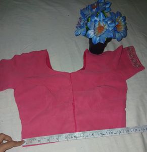 Pink Saree Chamki Computer Work With Blouse 👚