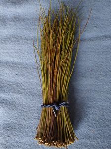 Natural Neem Toothpicks