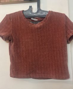 Zara Basic Cropped Tee