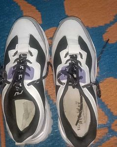 Stylish Everyday Walking Shoes