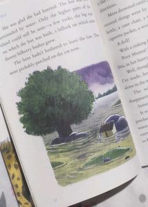 Angry River by Ruskin Bond